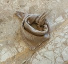 H Cashmere Logo Scarf Taupe thumbnail